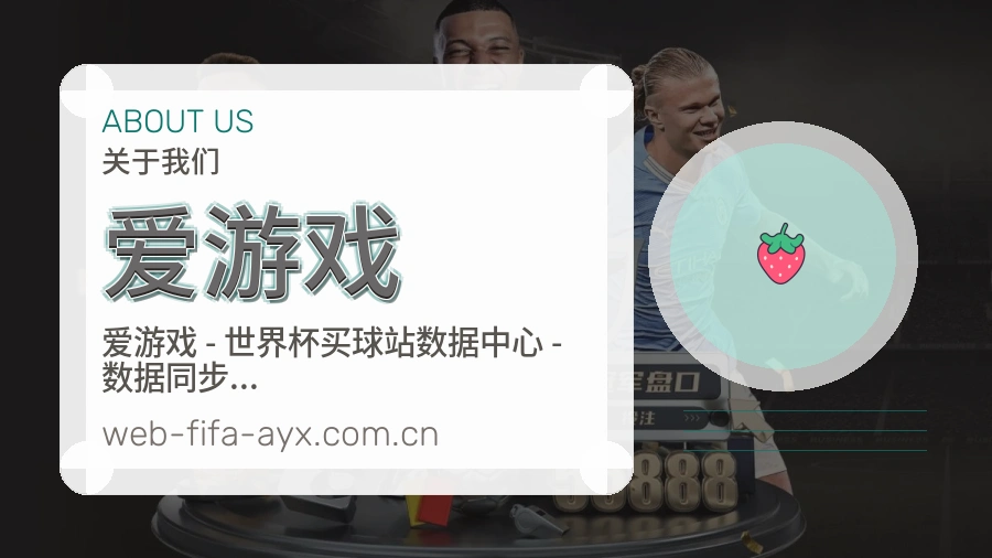 爱游戏服务范围介绍